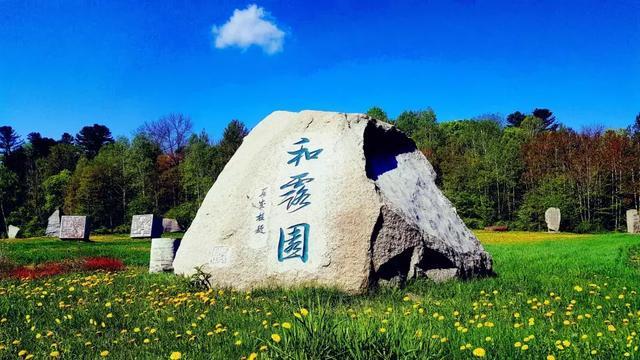优雅的精灵